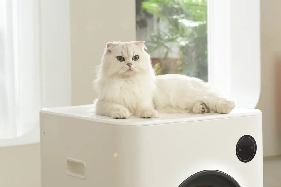 fancy litter box