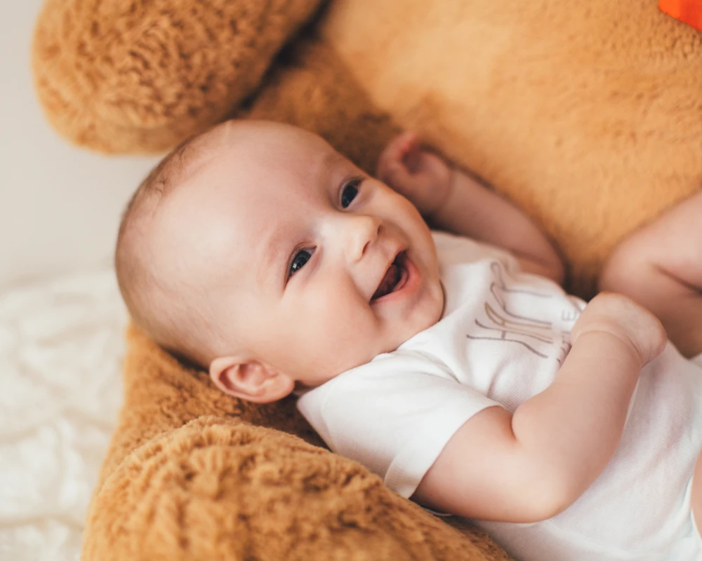 rocking bassinet cradle