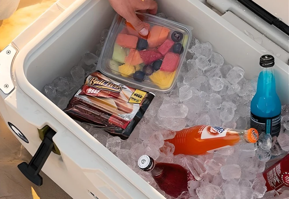 best portable electric cool box
